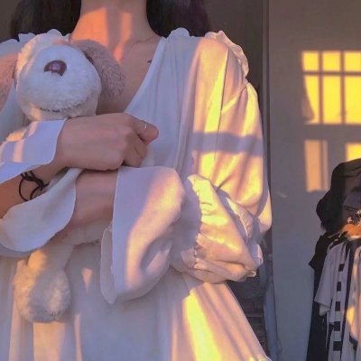 女导与强盗